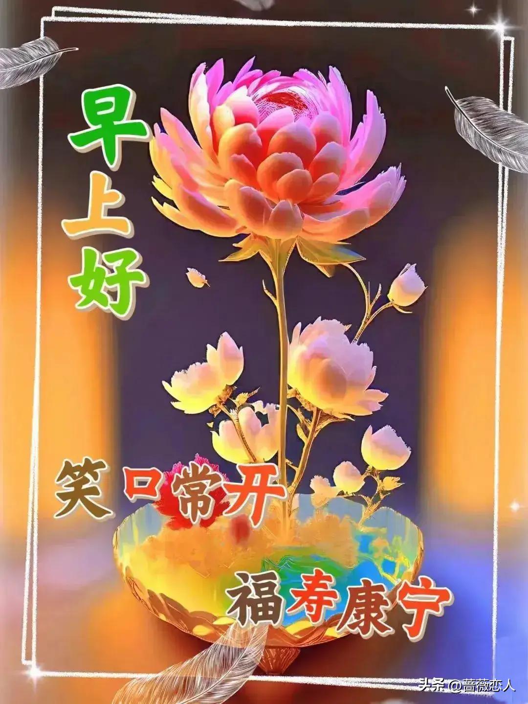 ＂2024年天天彩资料免费大全＂的：即时解答解析分析_互联版8.72