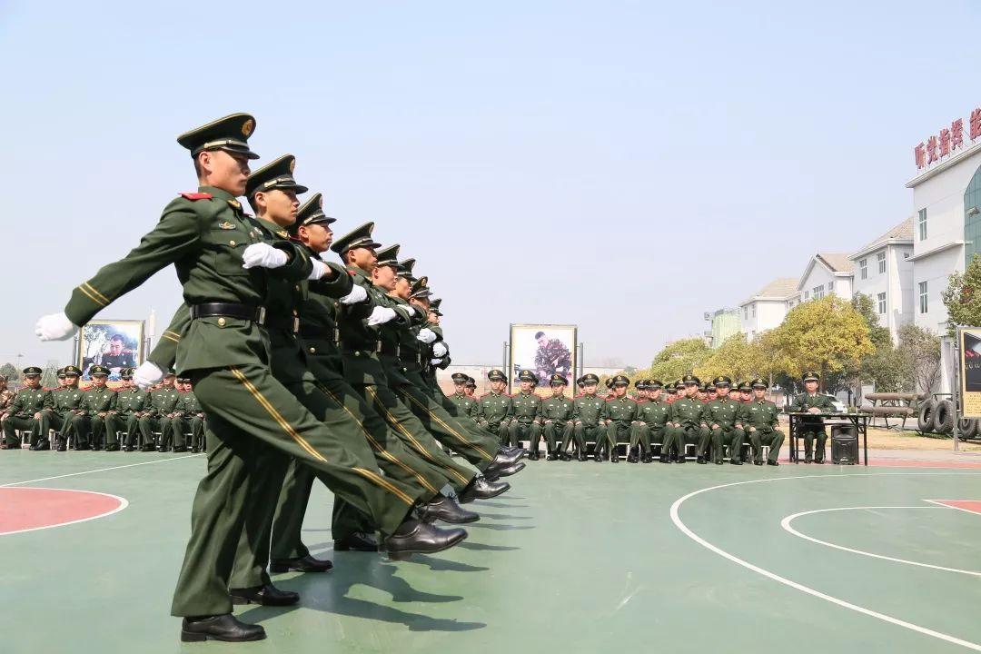 热血青春演员表，青春力量与学习魅力的璀璨展现