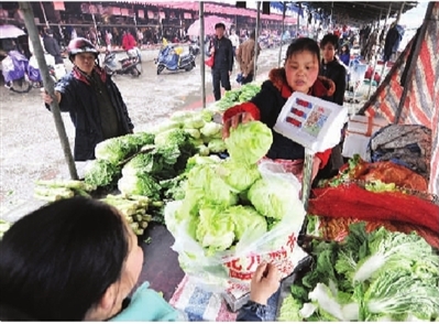 长沙蔬菜行情概览与动态分析