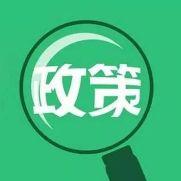 科技革新先锋，全新高科技产品深度解析最新资讯