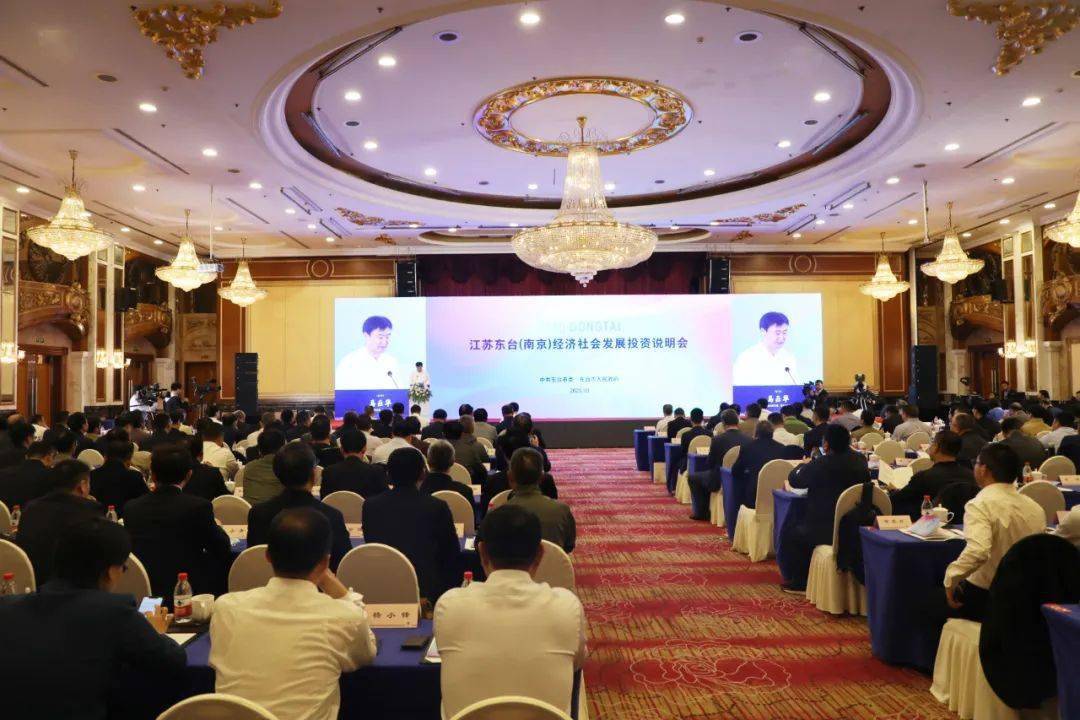 东台新闻聚焦发展，多元视角解读最新消息