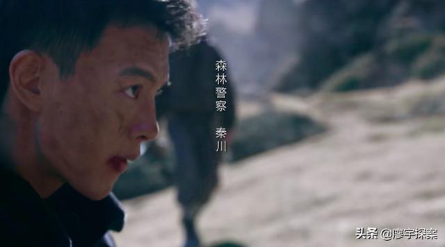 猎蝶者演员，影视魅力与演技深度聚焦