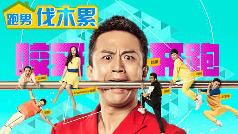 伐木累资讯速递，多元视角下的深度分析