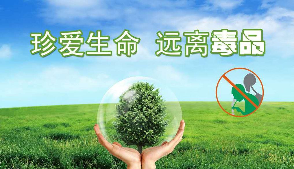 禁毒宣传最新动态，共建无毒社区，共筑美好未来！