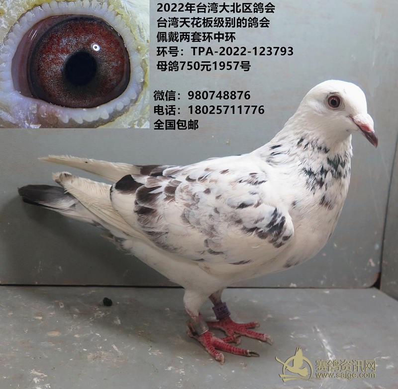 罗定黄志奋最新,罗定黄志奋最新探索，小巷中的隐藏美食宝藏