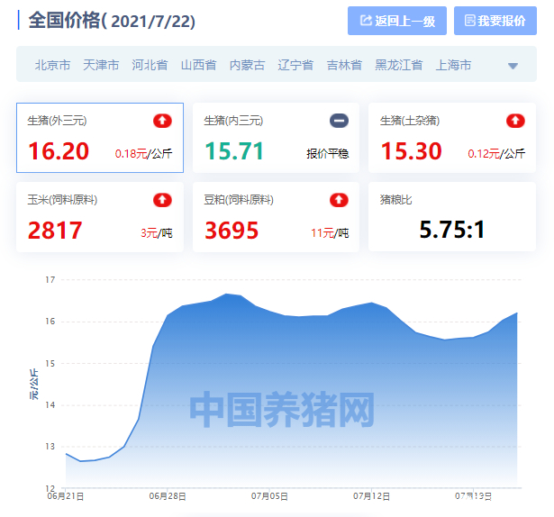 最新全国猪价走势，探寻内心平静的旅途
