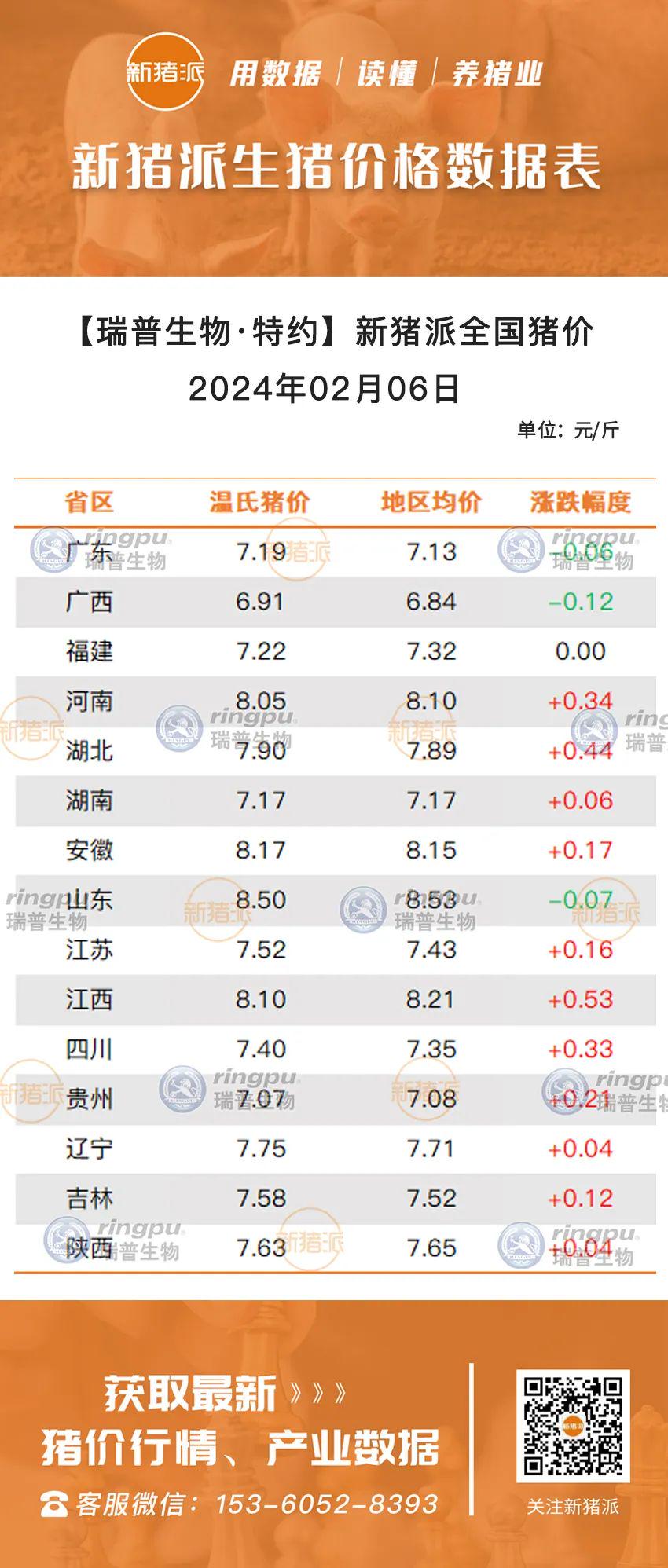 河南生猪最新猪价变化背后的故事，学习成就的力量与猪价波动分析