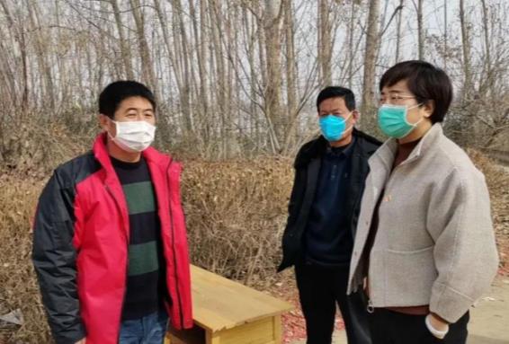 山东潍坊疫情最新消息与一场自然美景的探索之旅