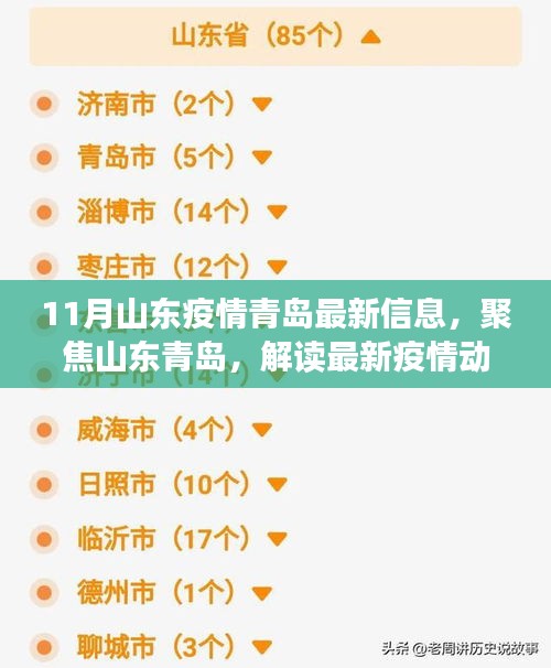 青岛疫情今日最新数据，变化中的力量，共同骄傲的时刻