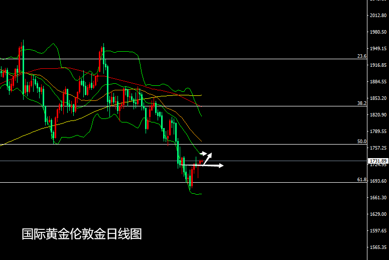 国际黄金最新走势，学习之旅与信心的力量