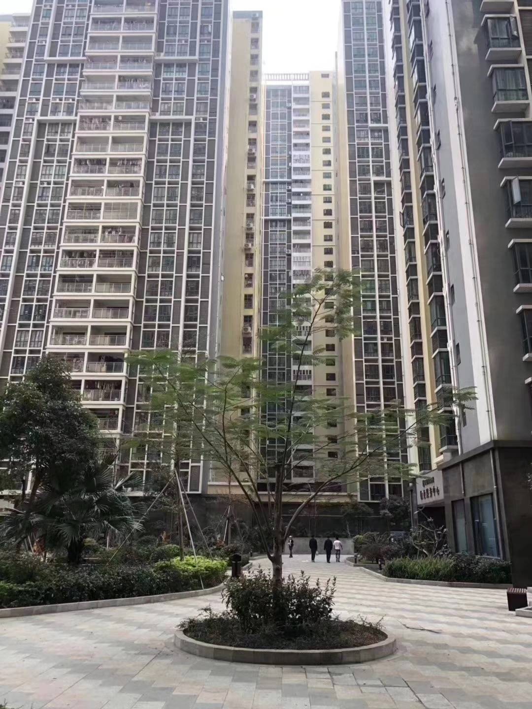 深圳松岗最新房价探索，寻找内心平静的旅程