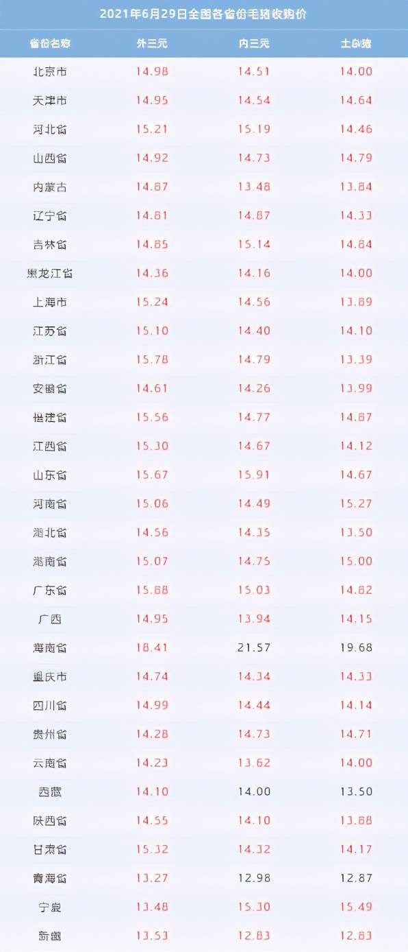 今天最新猪价表,今天最新猪价表，一场寻找内心平静的旅程