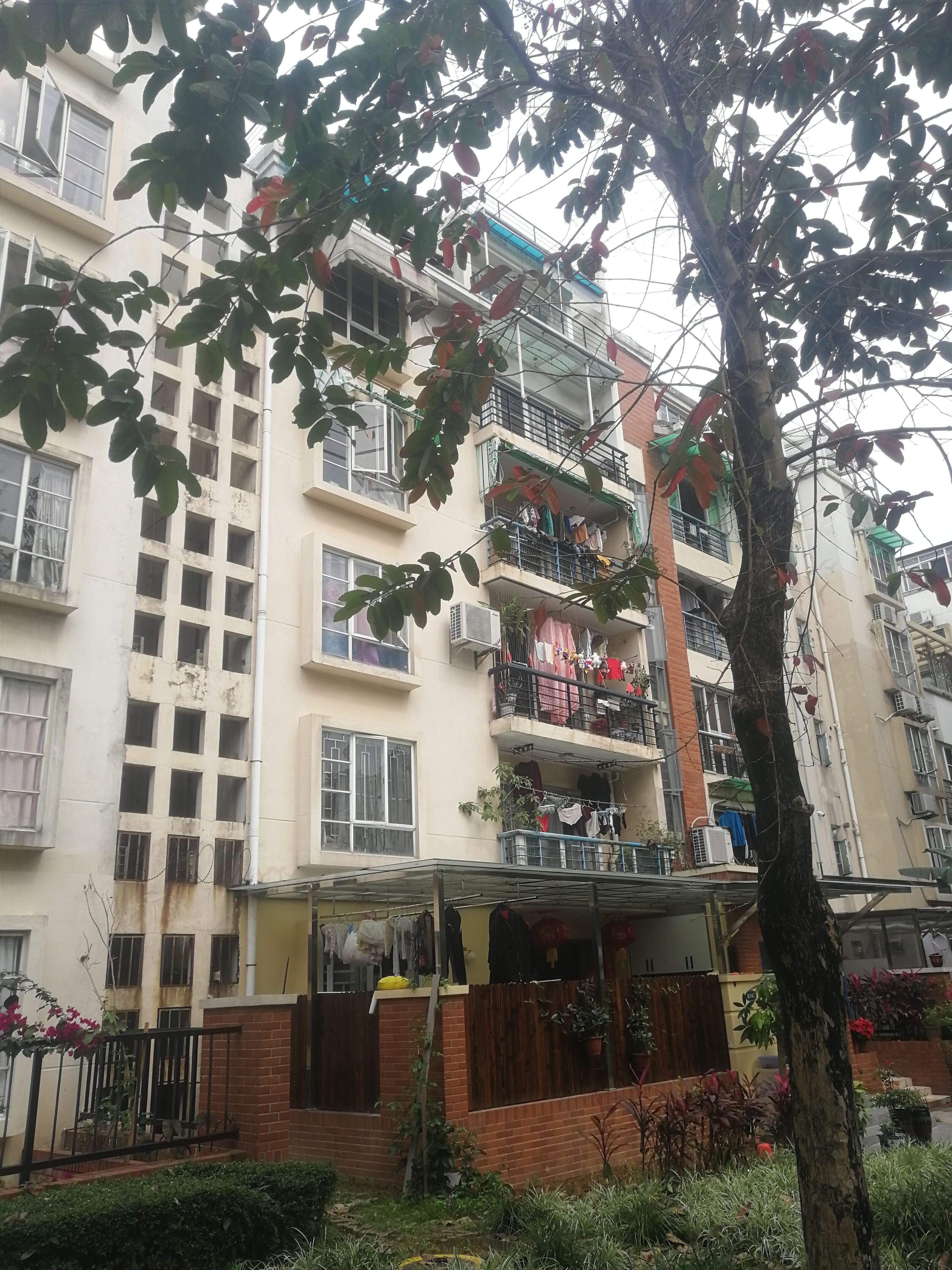 建筑工程最新单价,建筑工程最新单价，行业趋势与关键因素解析