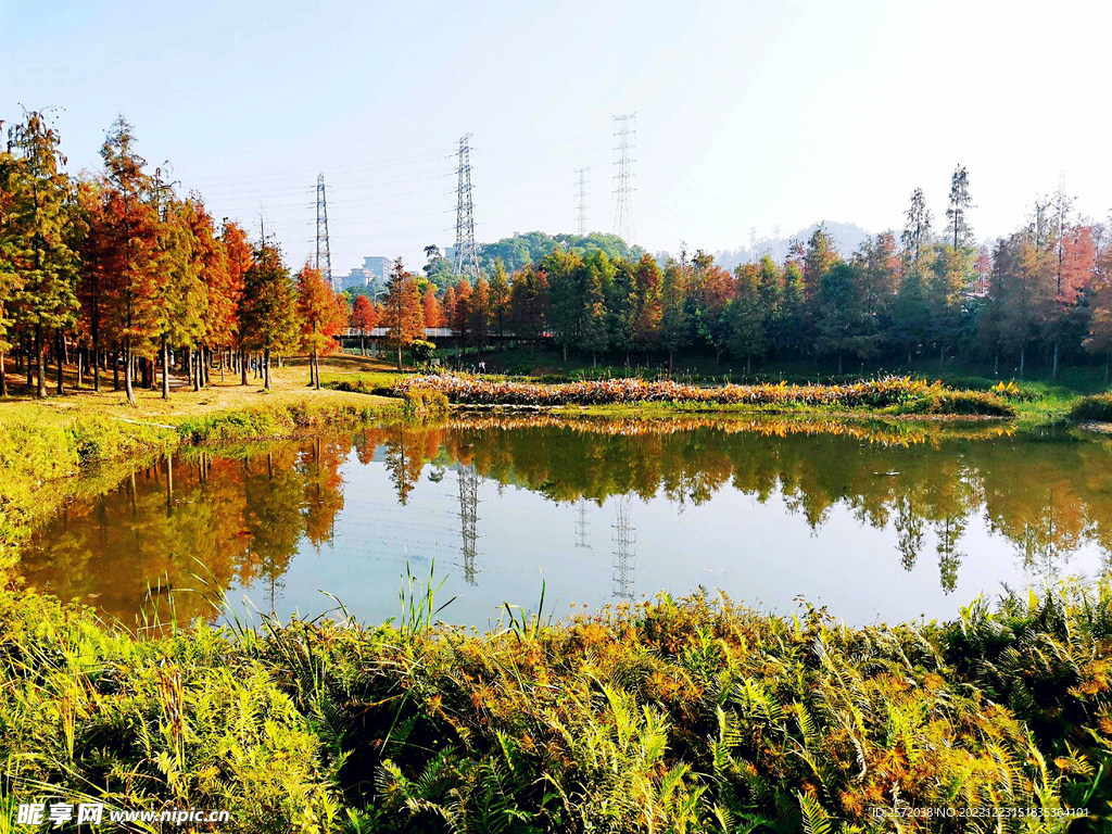广州大观湿地公园最新,广州大观湿地公园最新纪实，生态文明的绿色明珠