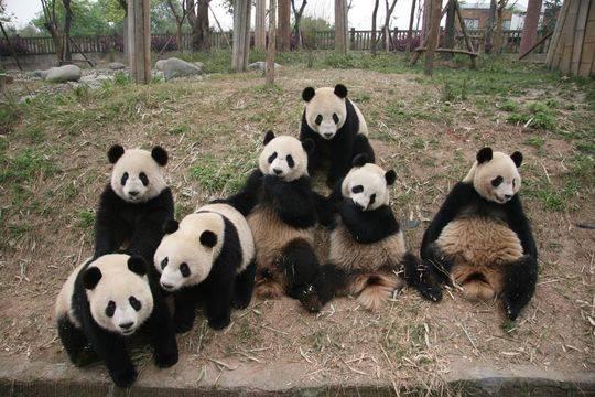中法生态新城最新动态资讯