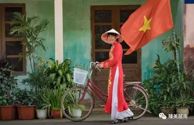 越南国内动态最新消息🌟