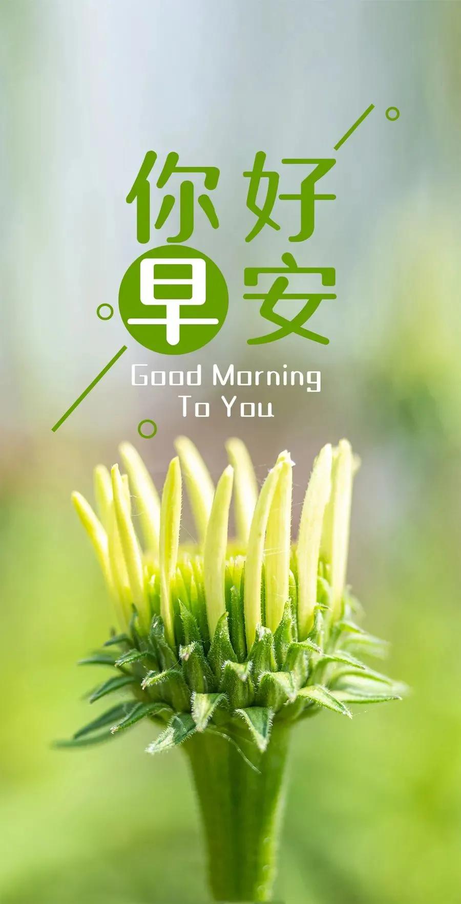 征途新版发布，全新体验，续写传奇之路