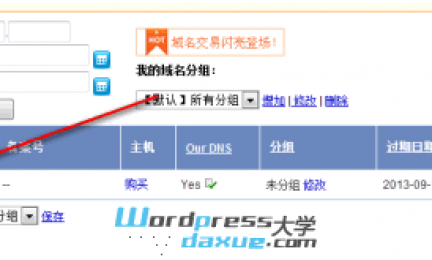 最新域名解析，开启一场温馨有趣的网络冒险之旅