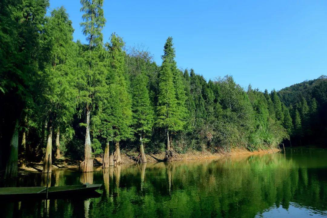 麻林温泉最新动态，新生之旅启程，焕发新生的温泉胜地体验
