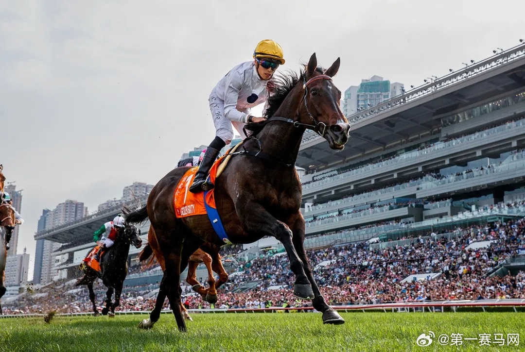 2024香港赛马全年免费资料,执行验证计划_影音体验版65.195