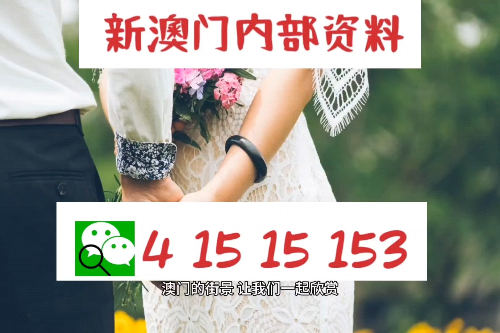 新澳门今天最新免费资料,专家意见法案_理想版74.918