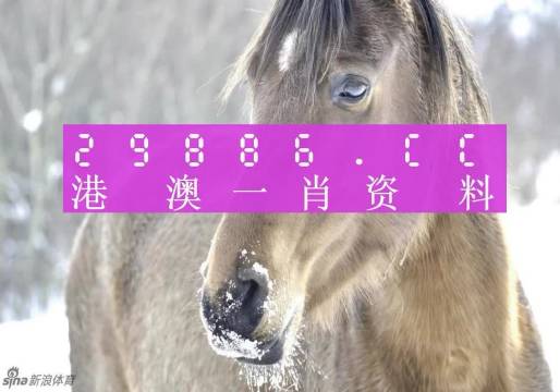 澳门一肖一码100%准确？,快速问题解答_绝版29.261