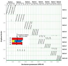 新澳内部资料免费提供,科学分析严谨解释_酷炫版89.175