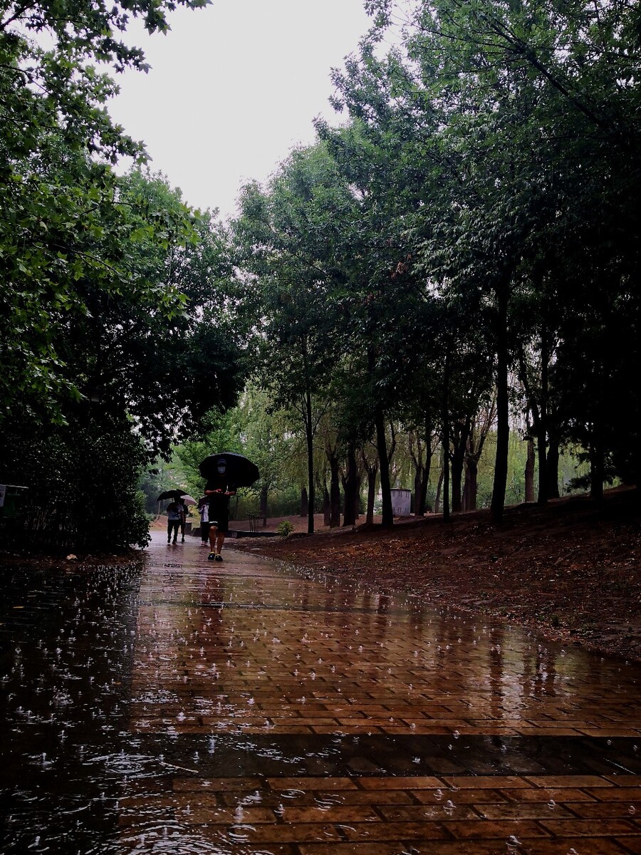 晨雨资讯，自然美景之旅，探寻内心的平和与宁静