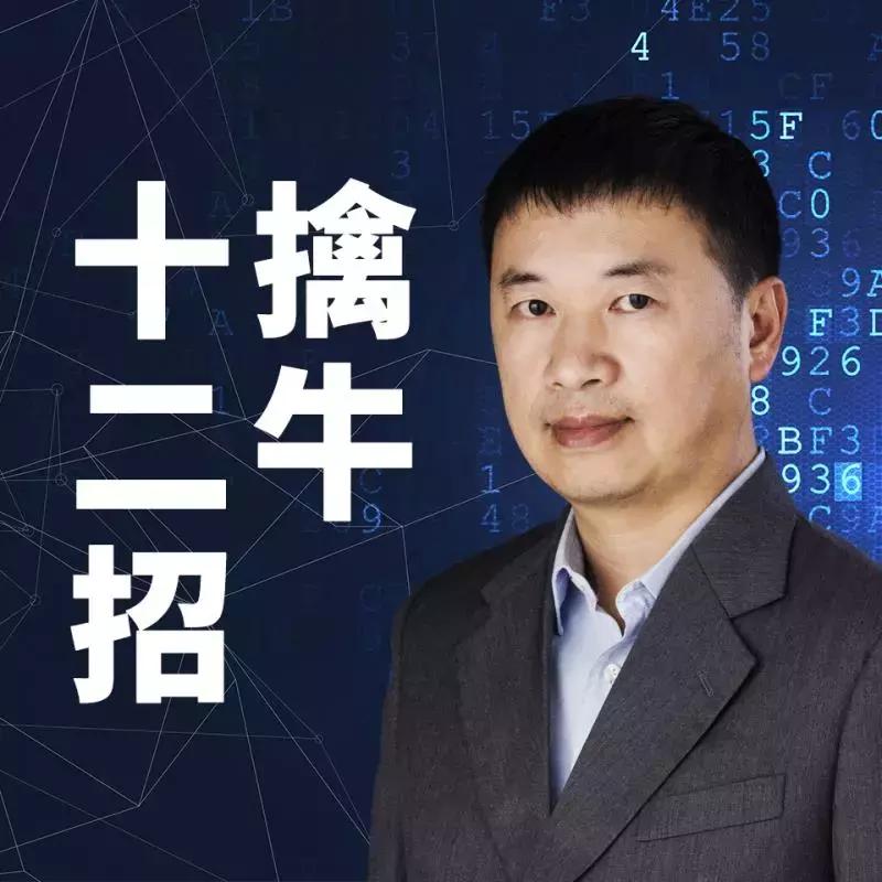 大极股份股票,大极股份股票，深度解析与前景展望