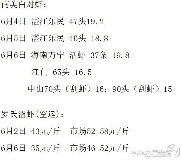 虾价行情大揭秘！吃货必看，最新虾价动态一网打尽！