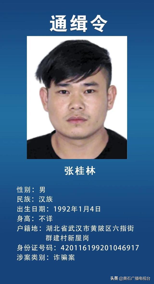 湖北省公安厅最新名单汇总权威发布资讯汇总公告