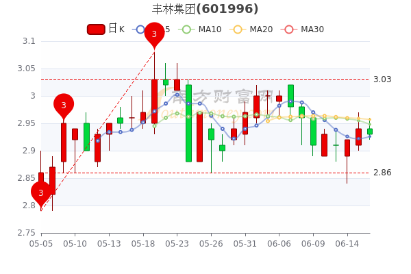 丰林集团股票投资视角与深度解析