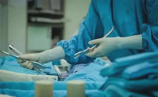 金斑马地坪 第58页