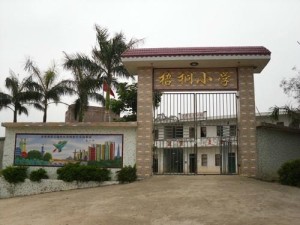 化州市杨梅镇最新新闻回顾与概览