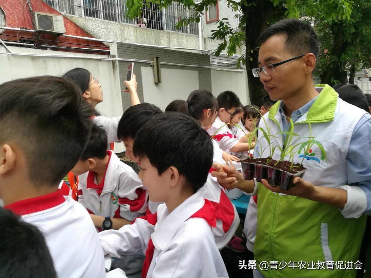 极课同学新版，革新与挑战并存的观点深度剖析