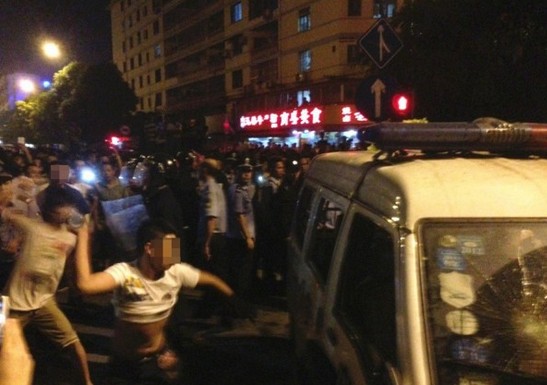 金斑马地坪 第43页