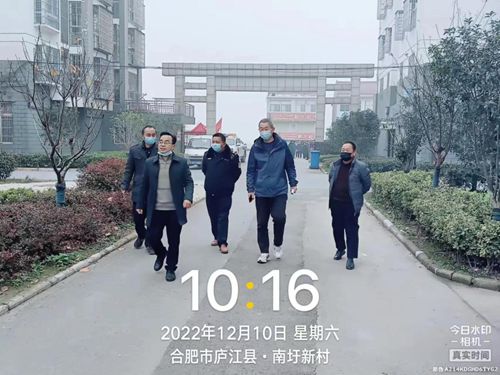 庐江台创园最新动态揭秘✨