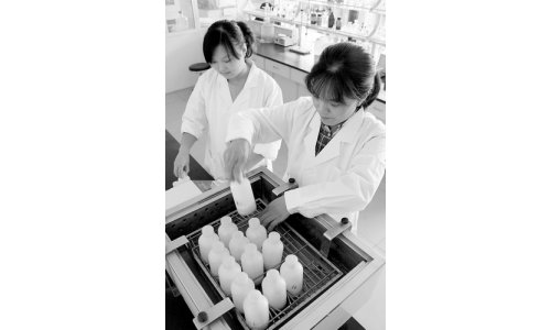 质检机构改革动态与小巷特色小店探秘揭秘