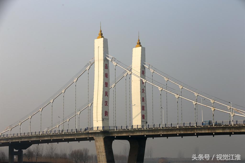 金斑马 第23页