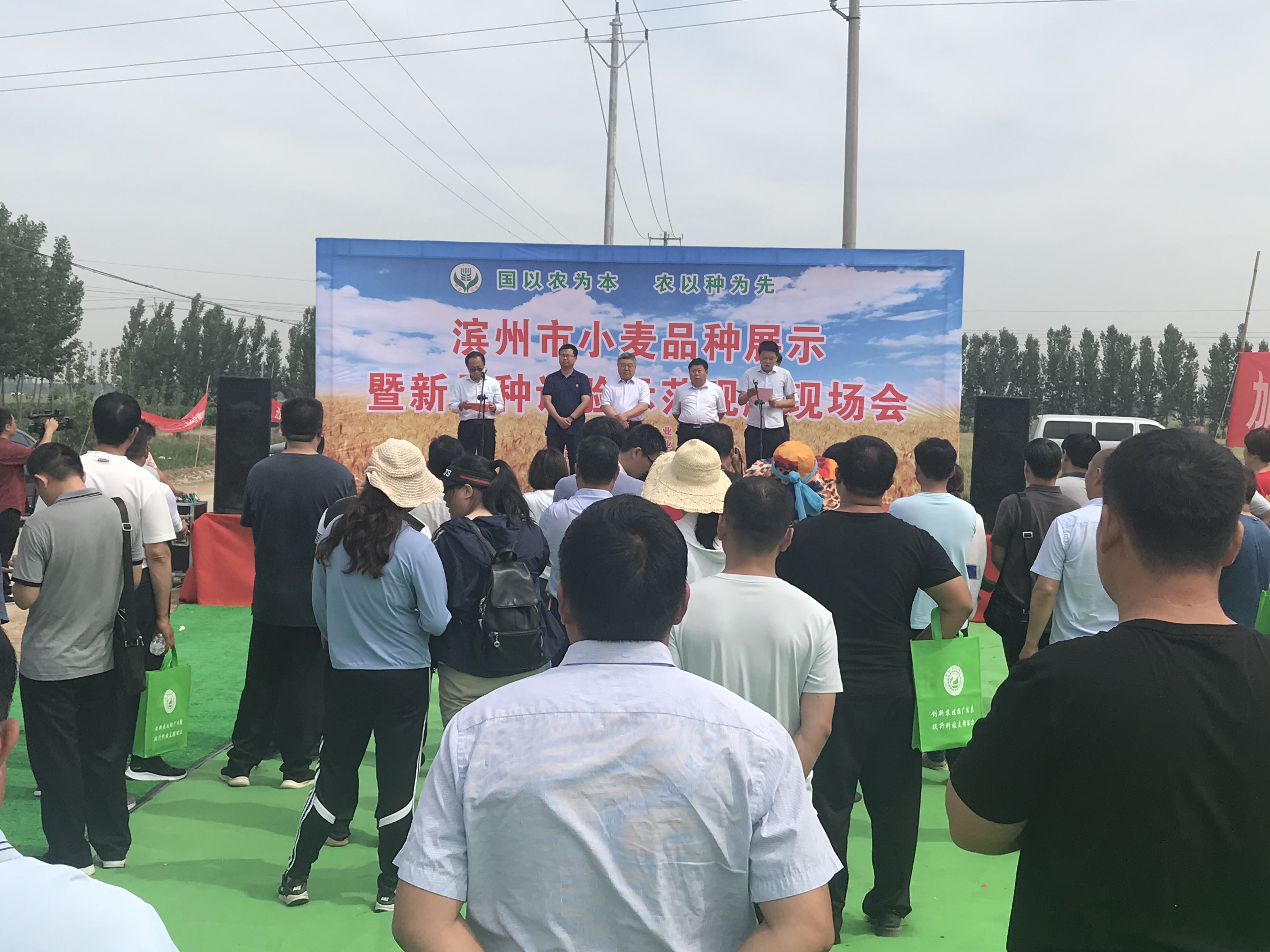 巷弄深处的麦香奇遇，最新麦子动态
