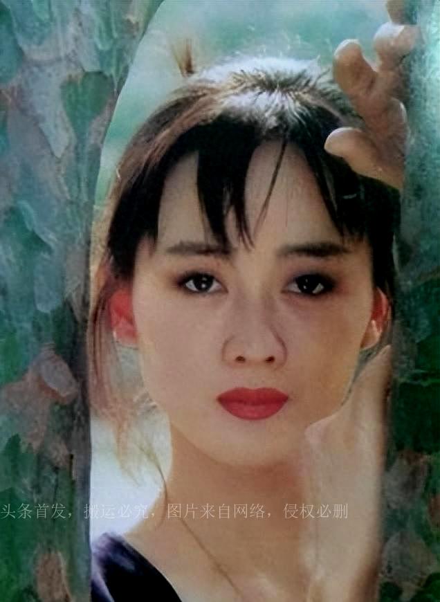 李琳版文成公主电视剧，深度解读古代传奇之美之旅
