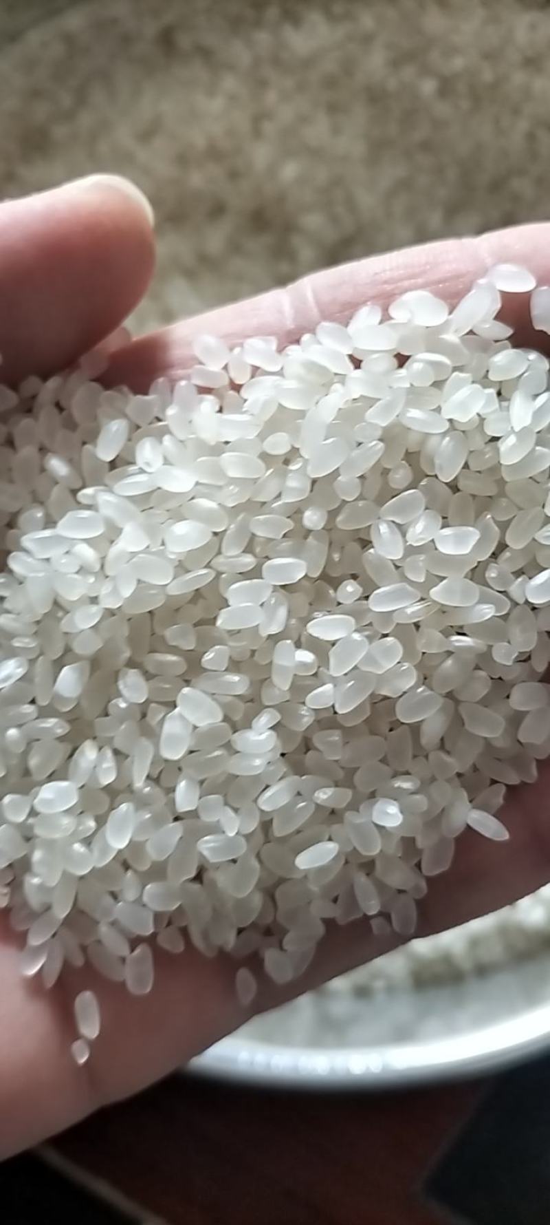 新米季节来临，智能米机产品亮相——体验科技丰收的喜悦