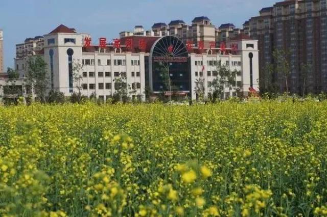 新疆建设兵团动态资讯，与自然美景的邂逅与寻找内心的平和之旅