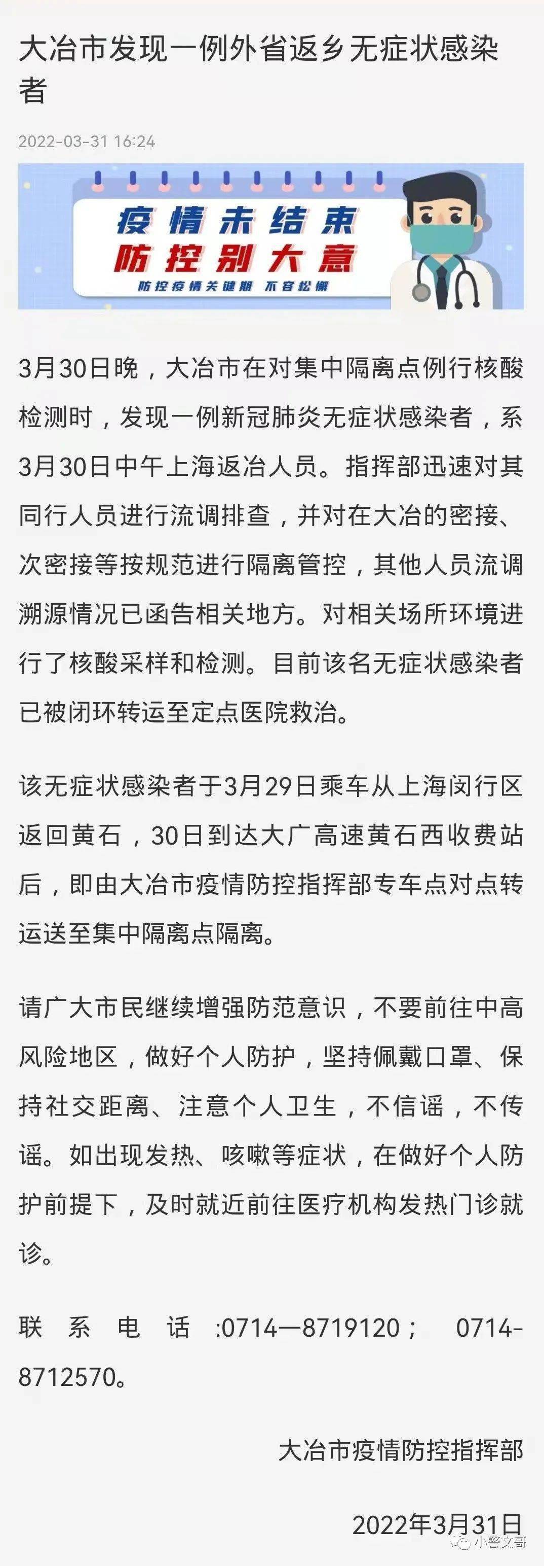 大冶最新肺炎疫情，背景、事件及影响概述