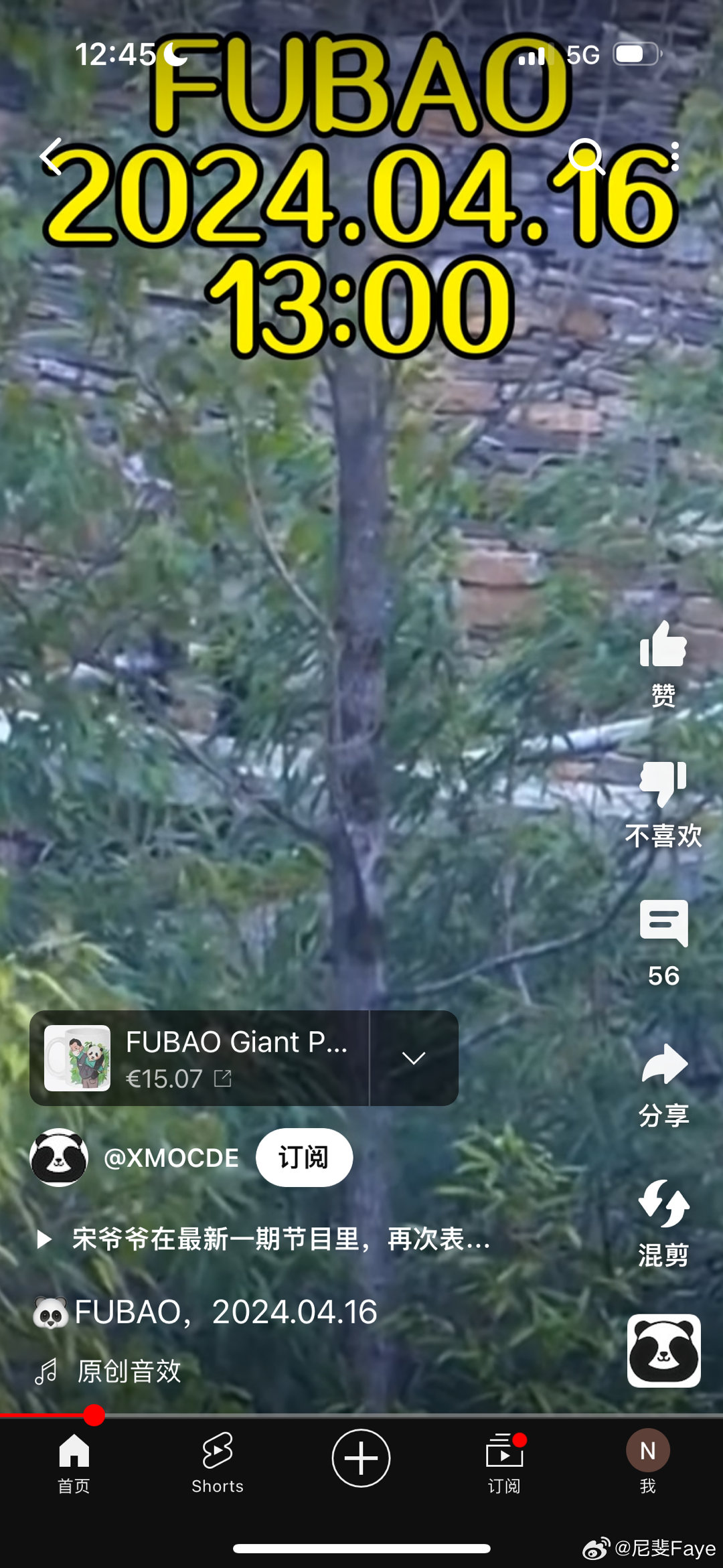 探索外网新秘境，小巷深处的独特风情揭秘