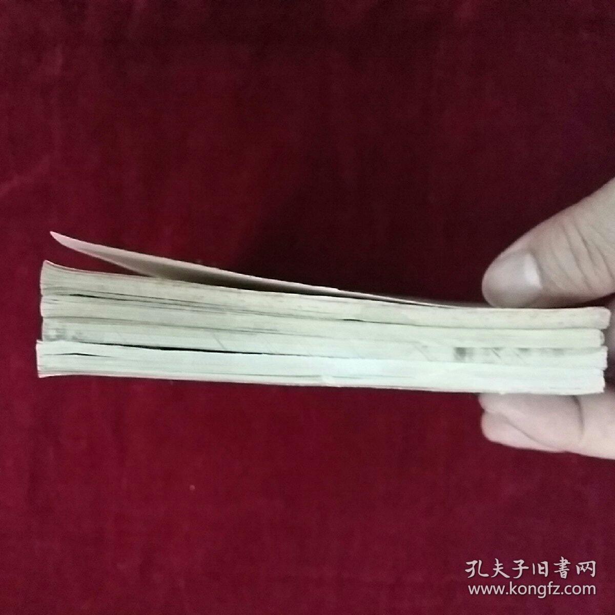 金斑马 第8页