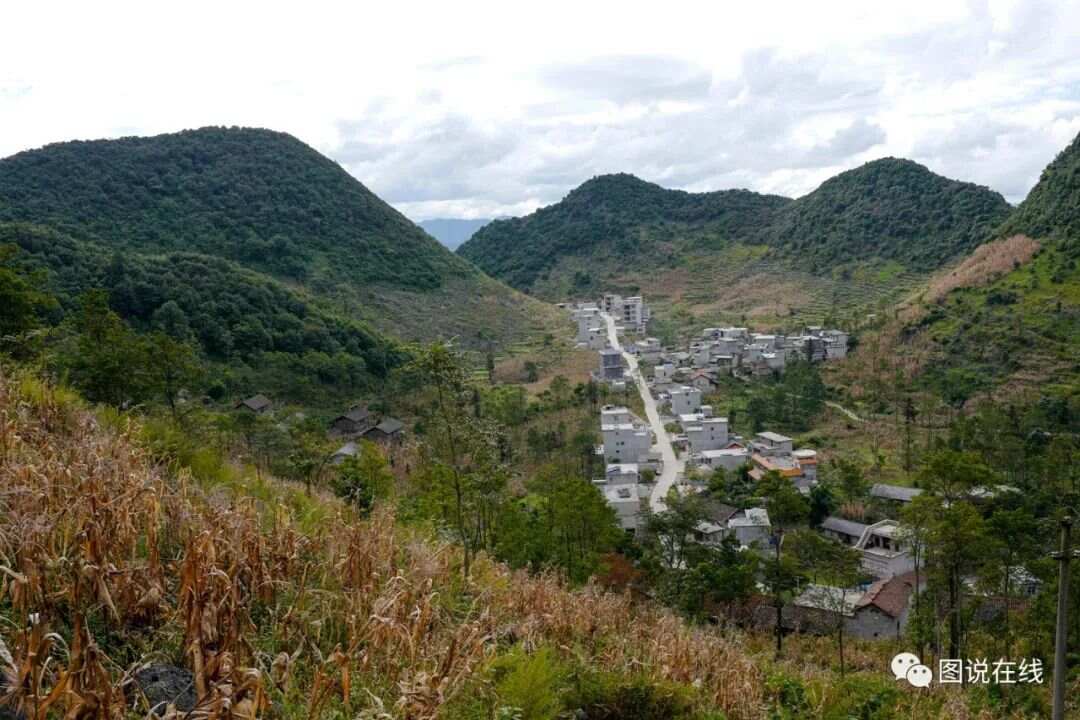 鹅坡最新发展，生态、科技与人文的交融进步