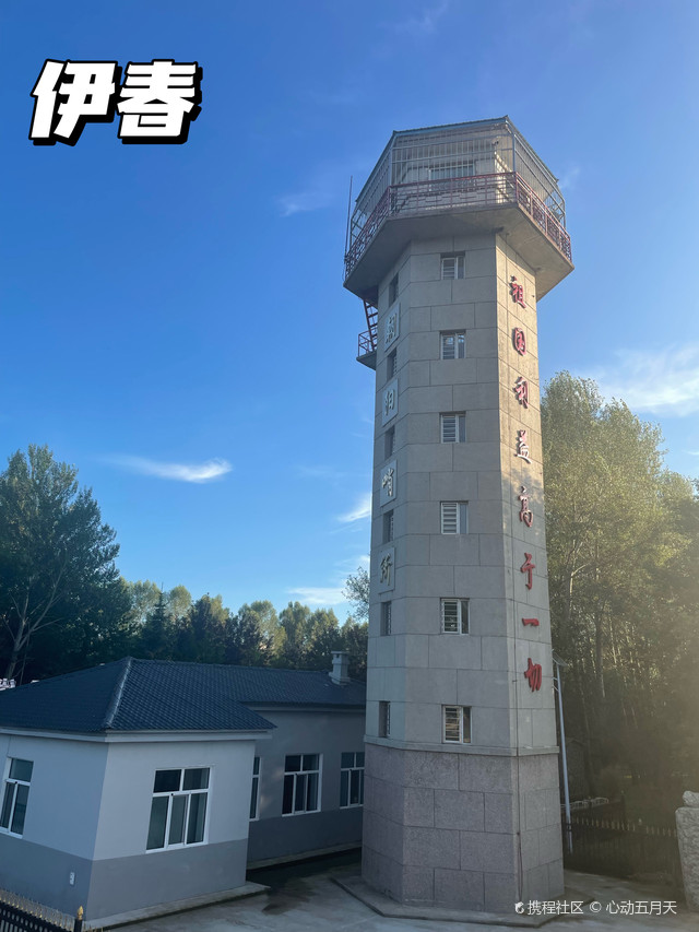 伊春最新二，高科技重塑未来，科技与生活完美融合体验