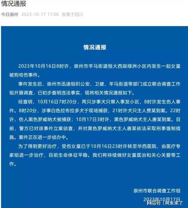 巷弄秘境中的独特小店，最新探索与梳理指南！