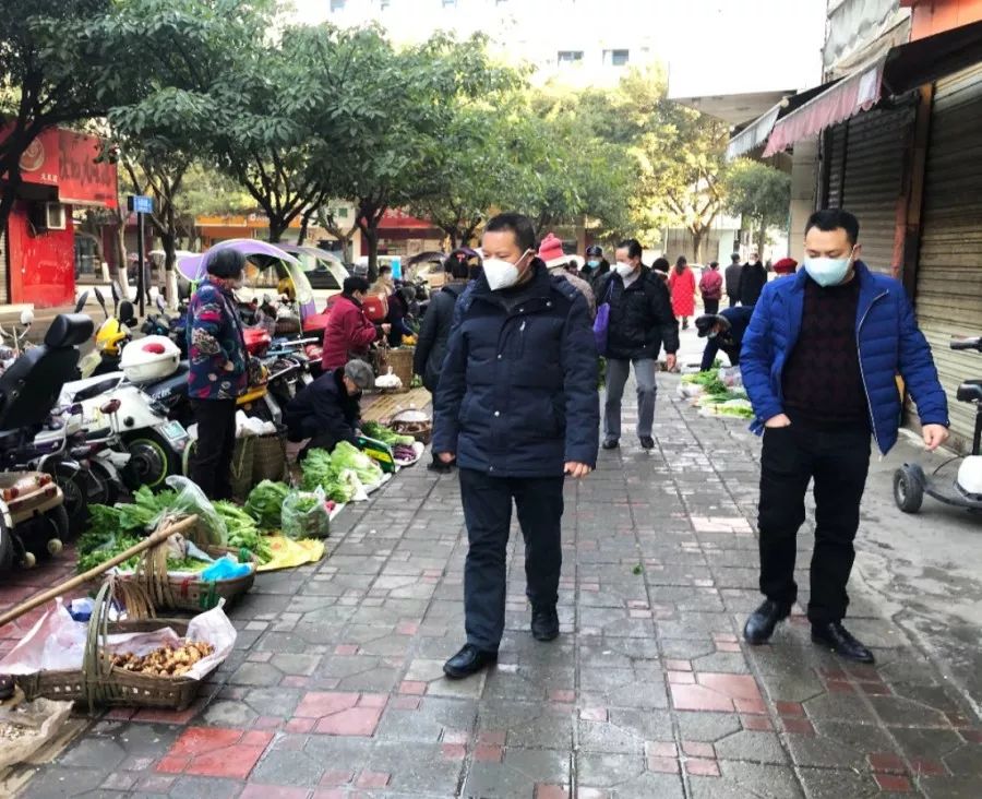 龙泉最新疫情动态，防疫指南与应对步骤